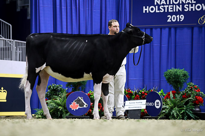 219RWF Holstein-2655