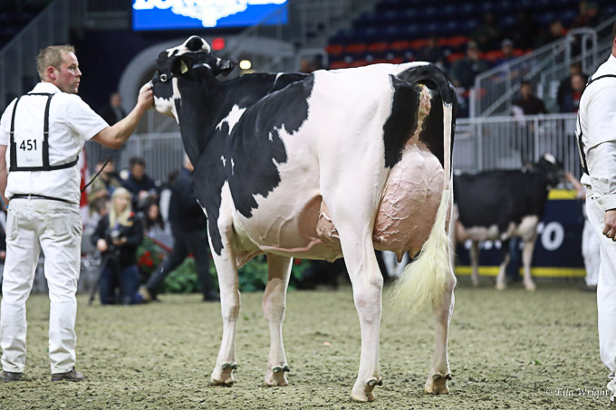 219RWF Holstein-4189