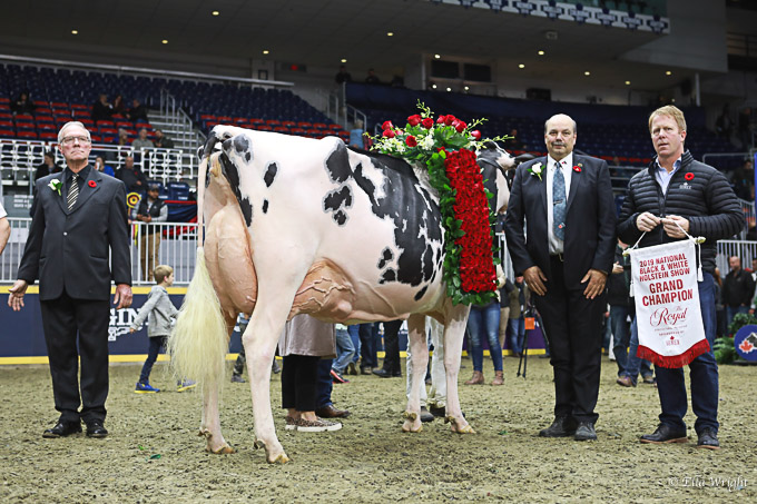 219RWF Holstein-5400
