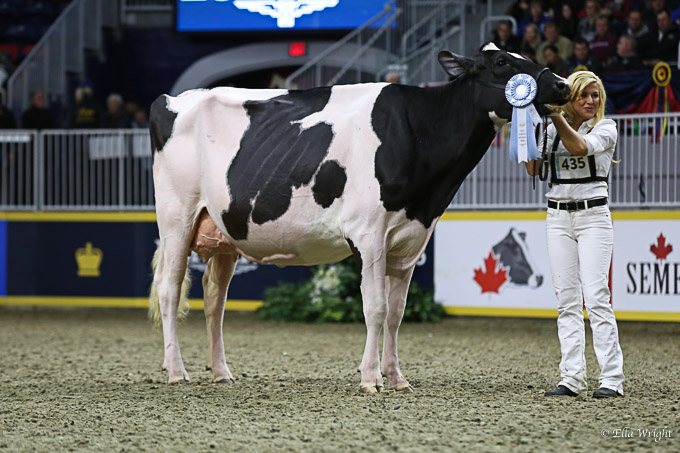 219RWF Holstein-9410