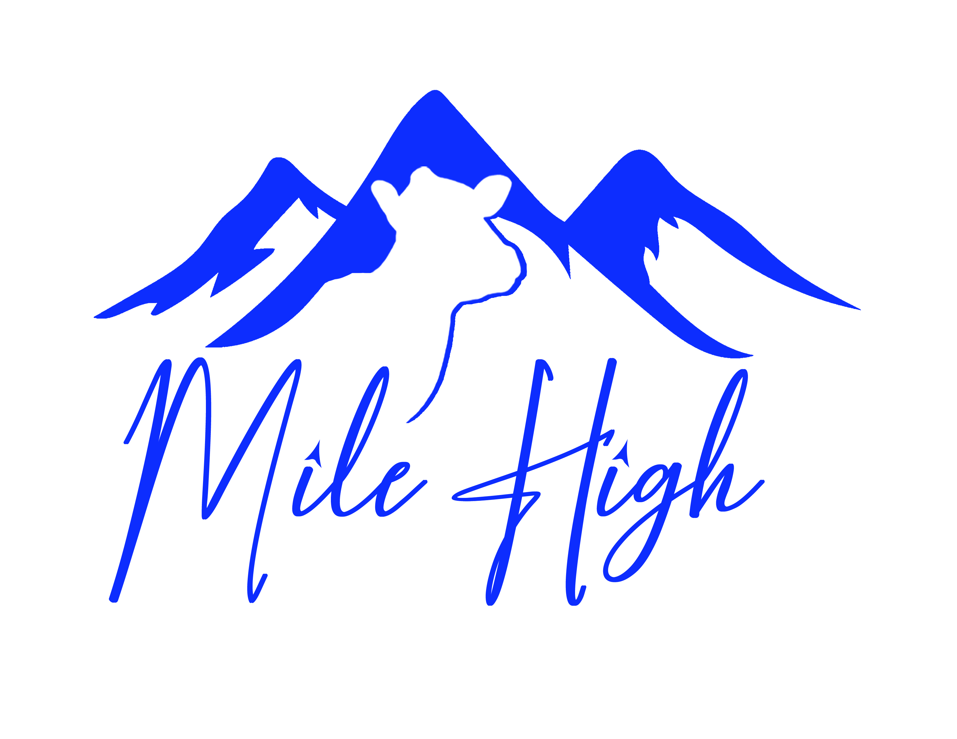 Mile High Final Logo